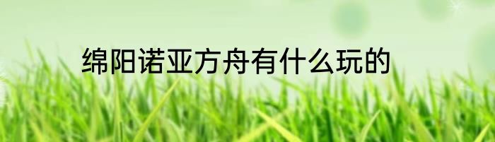 绵阳诺亚方舟有什么玩的