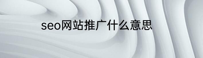 seo网站推广什么意思