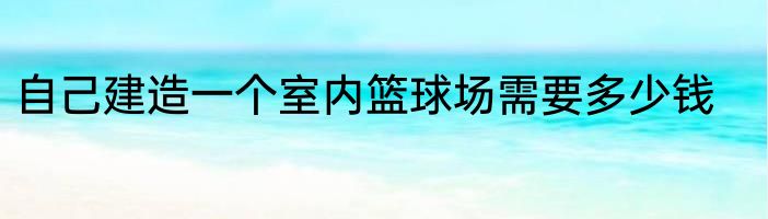 自己建造一个室内篮球场需要多少钱