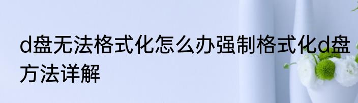 d盘无法格式化怎么办强制格式化d盘方法详解
