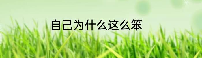 自己为什么这么笨