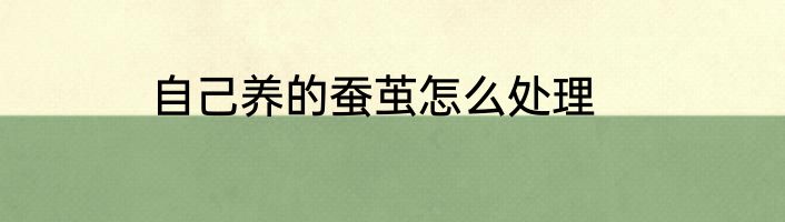 自己养的蚕茧怎么处理