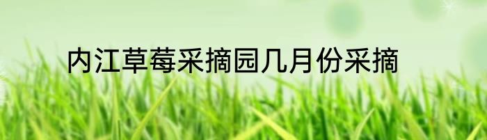 内江草莓采摘园几月份采摘