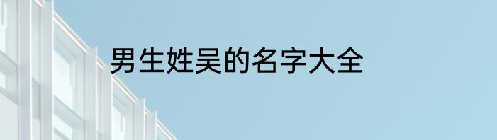 男生姓吴的名字大全