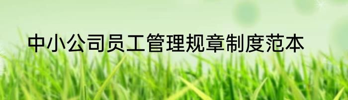 中小公司员工管理规章制度范本
