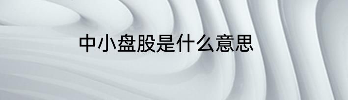 中小盘股是什么意思