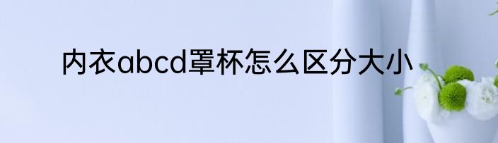 内衣abcd罩杯怎么区分大小