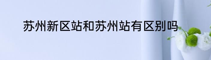 苏州新区站和苏州站有区别吗