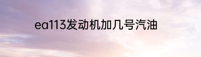 ea113发动机加几号汽油