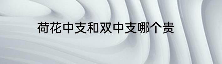 荷花中支和双中支哪个贵