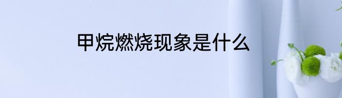 甲烷燃烧现象是什么