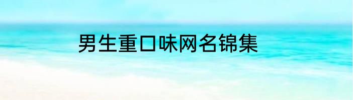 男生重口味网名锦集