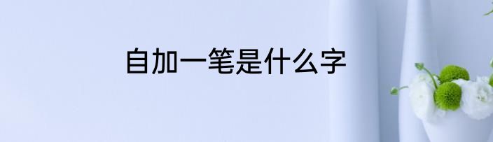 自加一笔是什么字