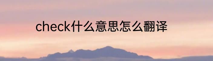 check什么意思怎么翻译
