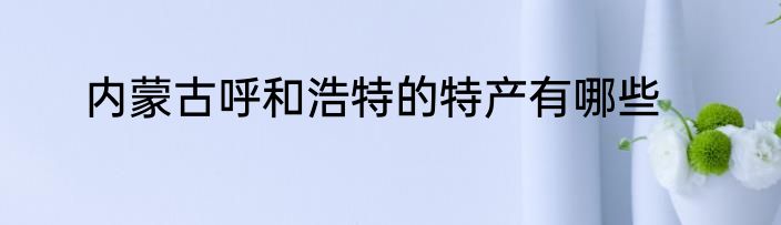 内蒙古呼和浩特的特产有哪些