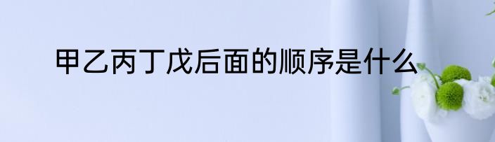 甲乙丙丁戊后面的顺序是什么