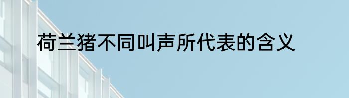 荷兰猪不同叫声所代表的含义