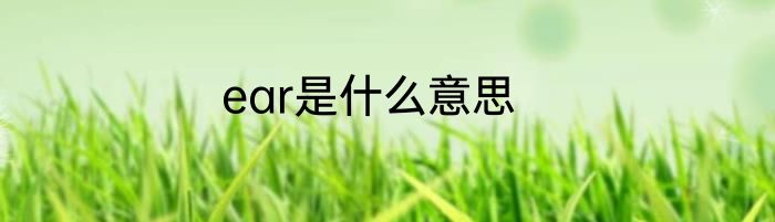 ear是什么意思