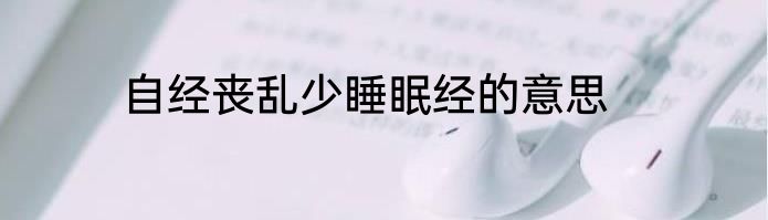 自经丧乱少睡眠经的意思