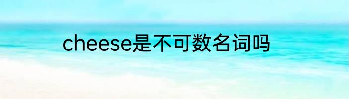 cheese是不可数名词吗