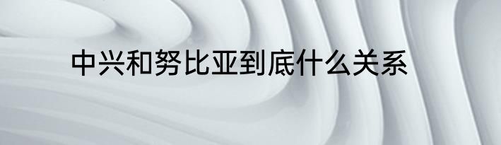 中兴和努比亚到底什么关系