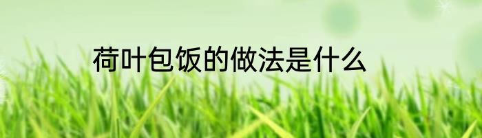 荷叶包饭的做法是什么