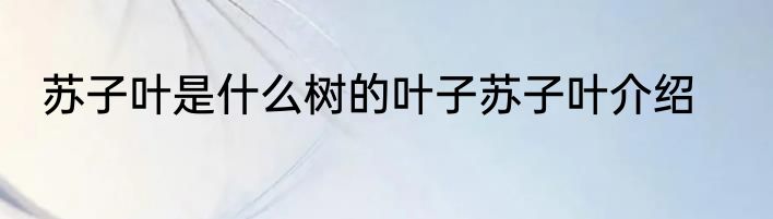 苏子叶是什么树的叶子苏子叶介绍