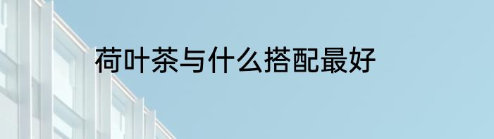 荷叶茶与什么搭配最好