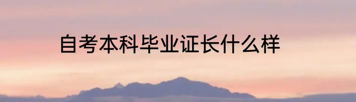 自考本科毕业证长什么样