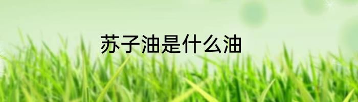苏子油是什么油