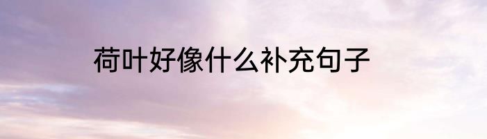 荷叶好像什么补充句子