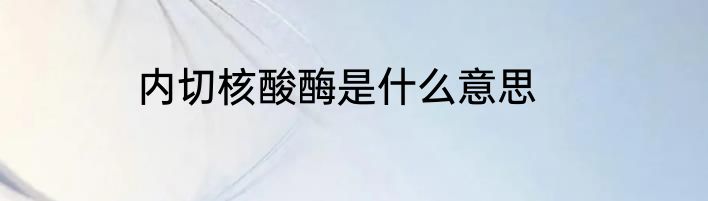 内切核酸酶是什么意思