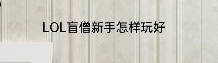 LOL盲僧新手怎样玩好