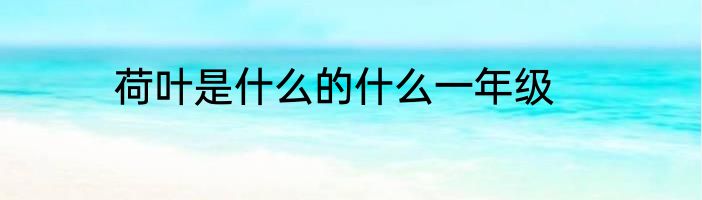 荷叶是什么的什么一年级