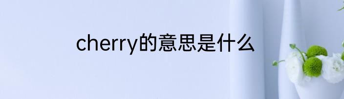 cherry的意思是什么