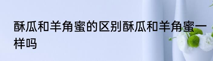 酥瓜和羊角蜜的区别酥瓜和羊角蜜一样吗