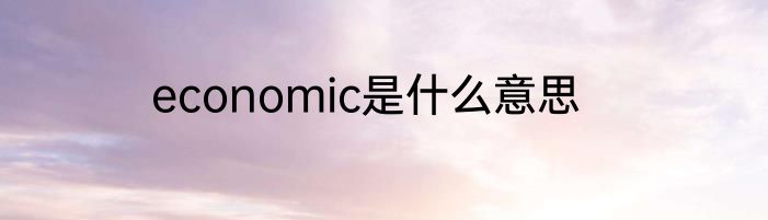 economic是什么意思