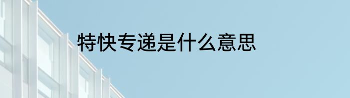 特快专递是什么意思