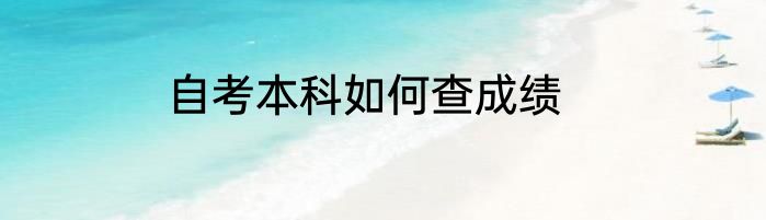 自考本科如何查成绩