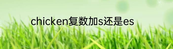 chicken复数加s还是es