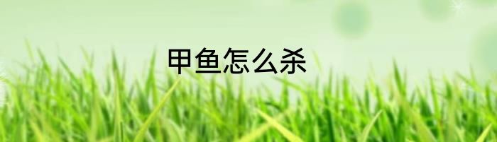 甲鱼怎么杀