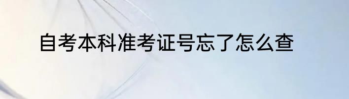 自考本科准考证号忘了怎么查