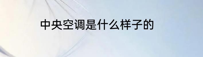 中央空调是什么样子的