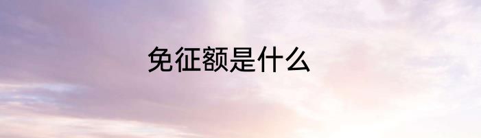 免征额是什么