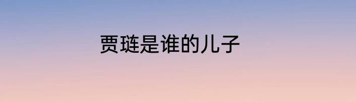 贾琏是谁的儿子
