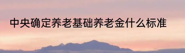 中央确定养老基础养老金什么标准