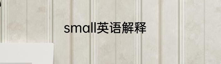 small英语解释