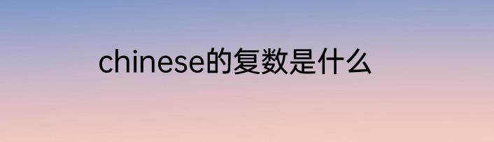 chinese的复数是什么
