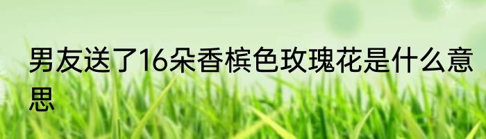 男友送了16朵香槟色玫瑰花是什么意思