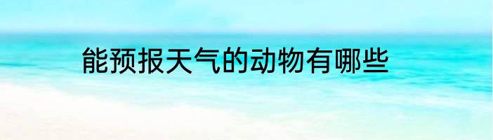 能预报天气的动物有哪些